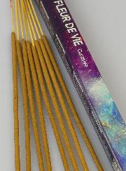 Encens en Bâtonnets Fleur de Vie 12g - Sans Charbon