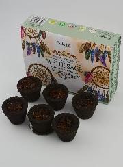 Coupelles d'Encens Naturel Goloka - Sauge Blanche