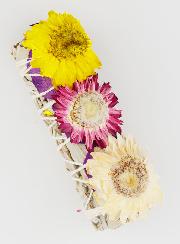 Smudge de Sauge Blanche de Californie & Fleurs de Paille