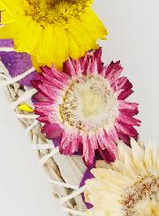 Smudge de Sauge Blanche de Californie & Fleurs de Paille