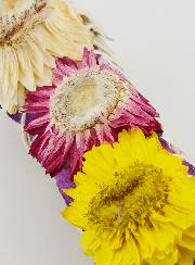 Smudge de Sauge Blanche de Californie & Fleurs de Paille
