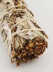 Smudge de Sauge Blanche Royale de Californie