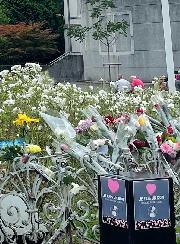 Bouquet de Fleurs à Notre Dame de Lourdes