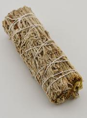 Sauge Verte - Fagot 30g