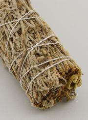 Sauge Verte - Fagot 30g
