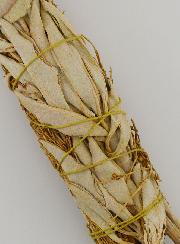 Sauge Blanche & Copal - Fagot 25g