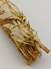Sauge Blanche & Copal - Fagot 25g