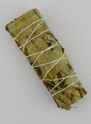 Eucalyptus - Fagot 30g