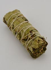 Eucalyptus - Fagot 30g