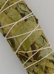 Eucalyptus - Fagot 30g