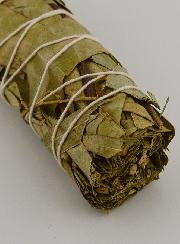 Eucalyptus - Fagot 30g
