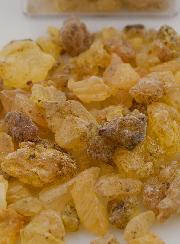Encens Religieux Copal + Prière St François