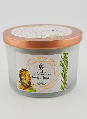 Bougie Parfumée Aromathérapie 256g - Gingembre & Oeil de Tigre