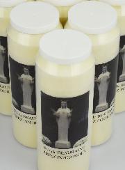 Lot de 10 Bougies de Neuvaine Notre Dame de Beauraing