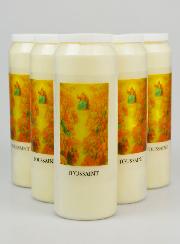 Lot de 6 Bougies de Neuvaine Fête de la Toussaint
