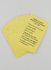 Lot de 10 Cartes de Prière à Sainte Bernadette