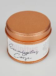 Bougie Parfumée Artisanale - Eucalyptus Corse