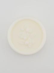 Savon au Lait de Chèvre Bio - 100g