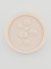 Savon Botanique Fleur de Coton - 100g