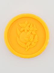 Savon Lait d'Ânesse Bio & Thé Vert - 100g