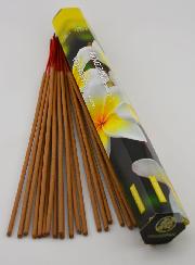 Encens en Bâtonnets Frangipanier 30g - Sans Charbon