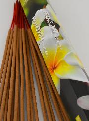 Encens en Bâtonnets Frangipanier 30g - Sans Charbon
