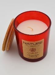 Bougie Parfumée Bio - Epices & Cannelle