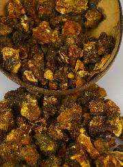 Encens Opoponax en Grains 50g