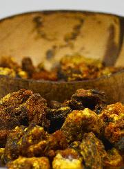 Encens Opoponax en Grains 100g