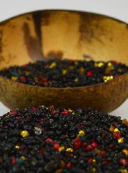 Encens Saint Judée en Grains